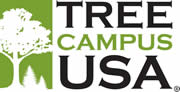 Sustainability Tree Capmus Logo