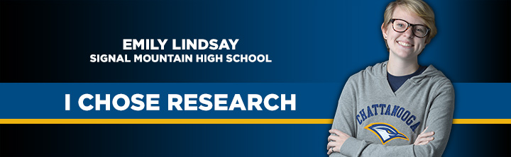 Lindsay Research