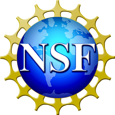 NSF Logo Transparent Background