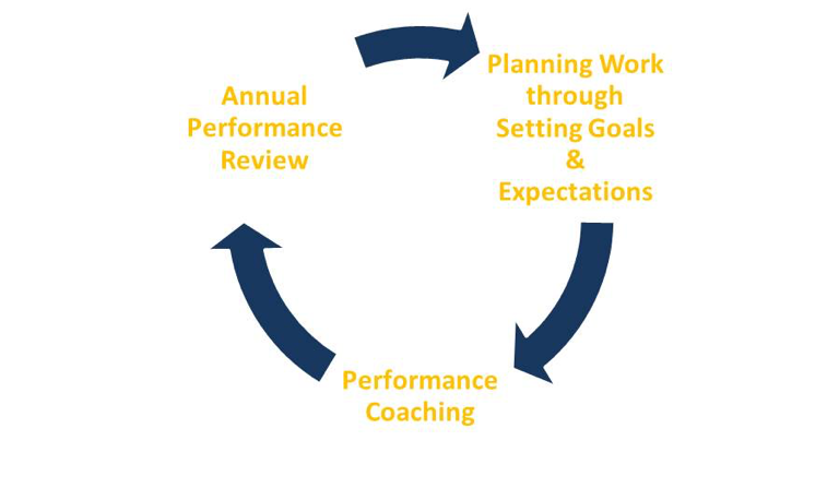 performance management cycle