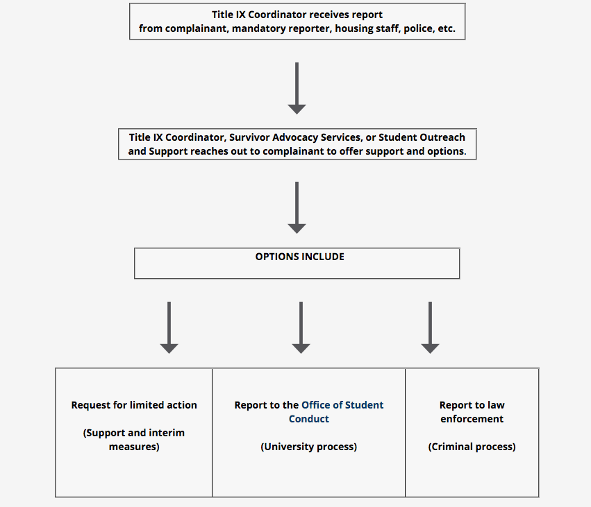 title IX graphic