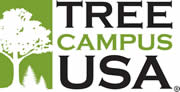 Sustainability Tree Capmus Logo Sustainability Tree Capmus Logo