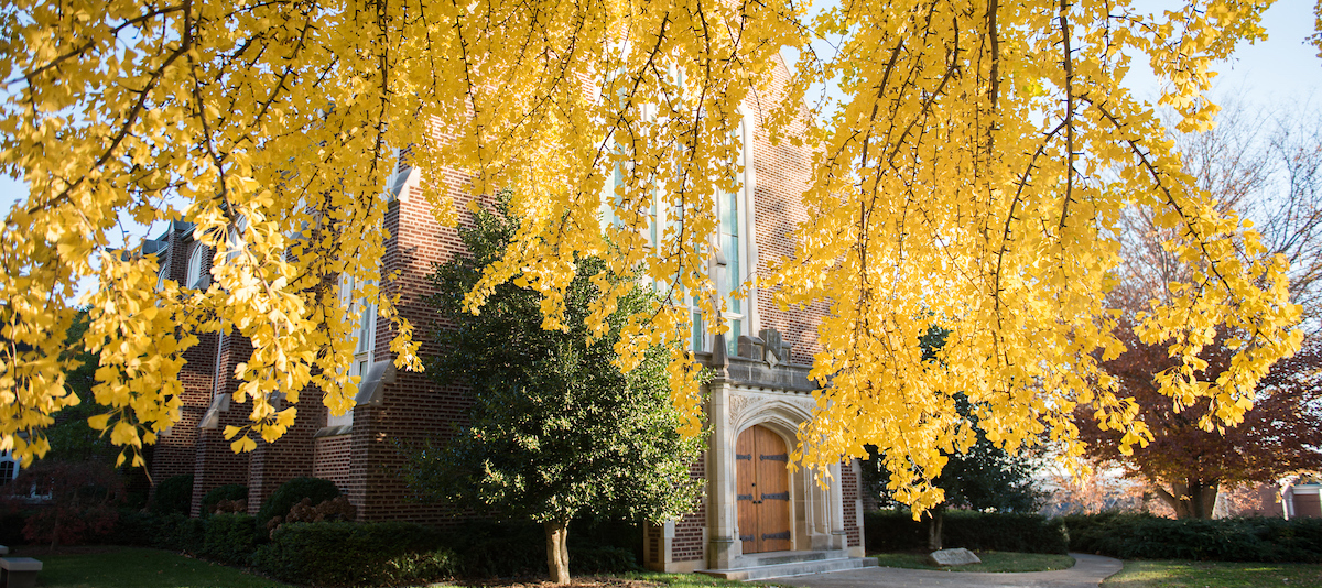 Campus fall of 2017