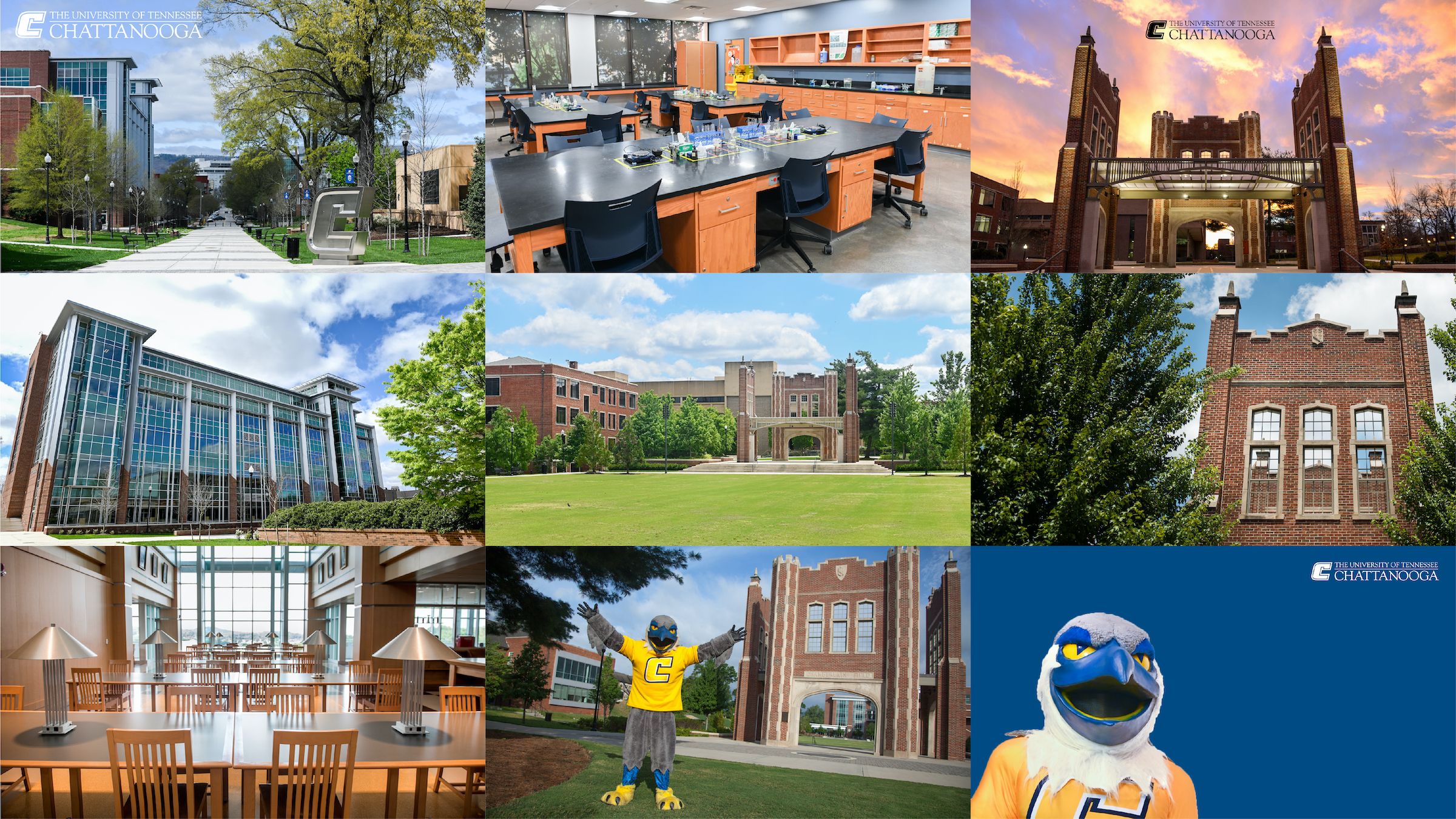 UTC Zoom Backgrounds Collage of UTC zoom backgrounds