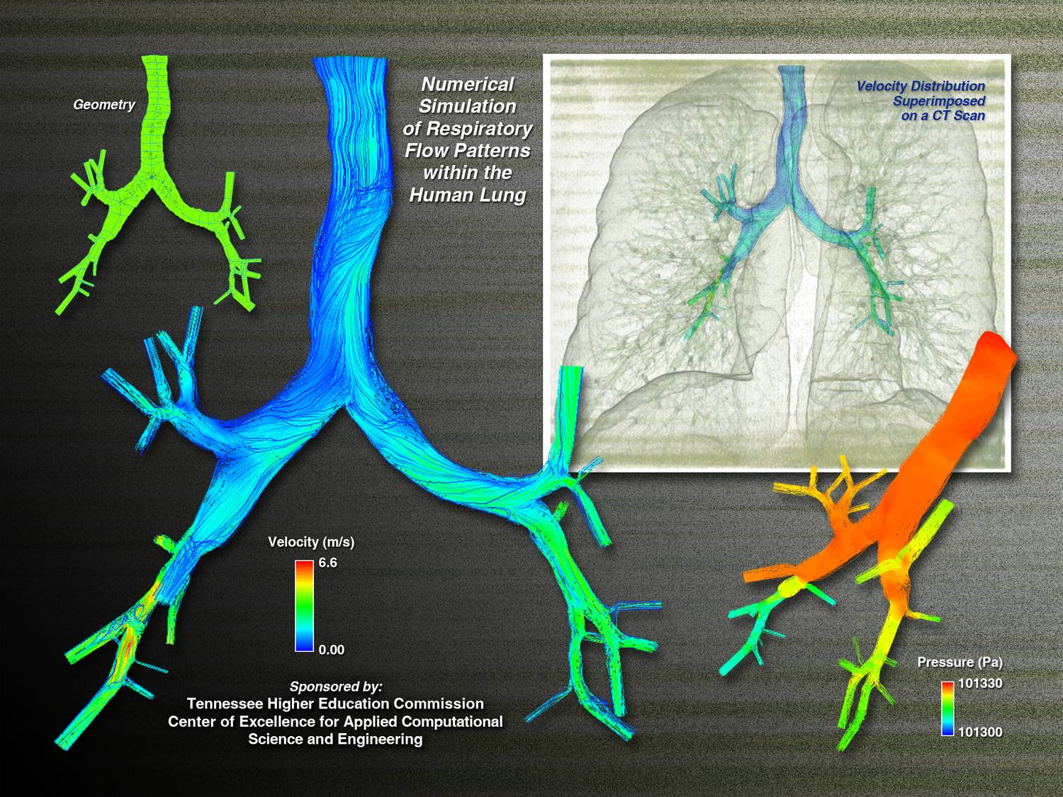 SimCenter Health and Biological Systems Poster 1 SimCenter Health and Biological Systems Poster 1