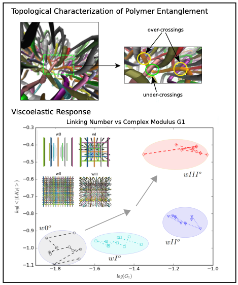 Polymer Viscoelasticity Polymer Viscoelasticity