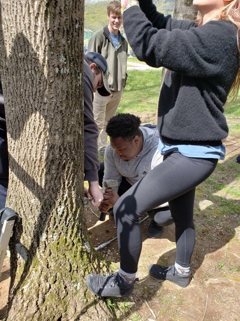 Students working on outdoor project