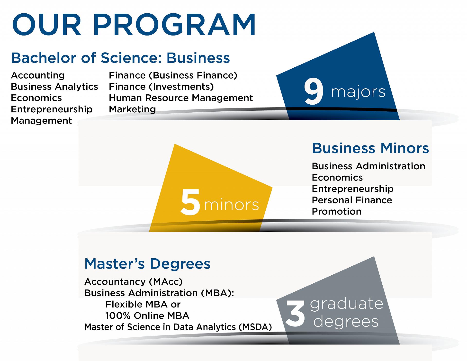 Our Program infographic