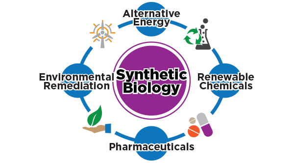 Chemistry Bro Synthetic Illustration