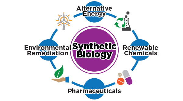 Chemistry Bro Synthetic Illustration Chemistry Bro Synthetic Illustration