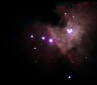 Orion Nebula Narrow Field	