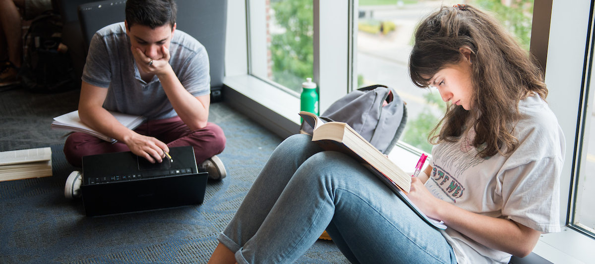 two students studying in library