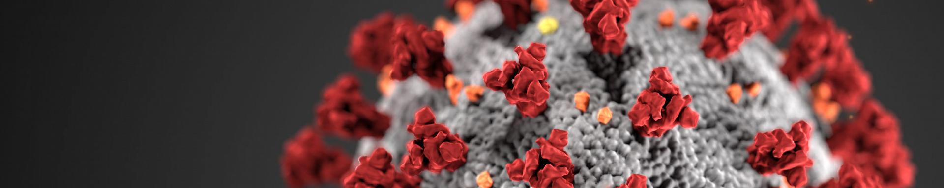 Coronavirus Graphic Coronavirus Graphic