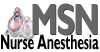 MSN Nurse Anesthesia logo 100pix small