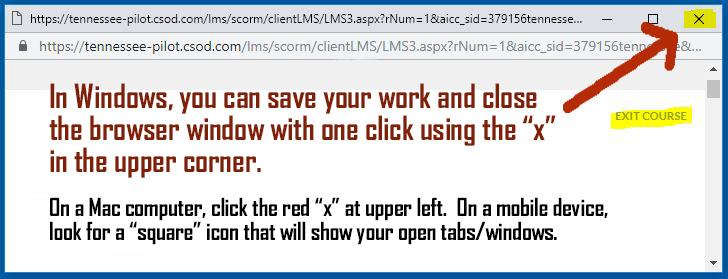 Closing a browser window