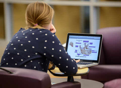 Student Studying in Library Program of Study Header Student Studying in Library Program of Study Header
