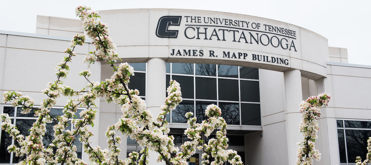 Mapp Building Spring Mapp Building and flowered tree