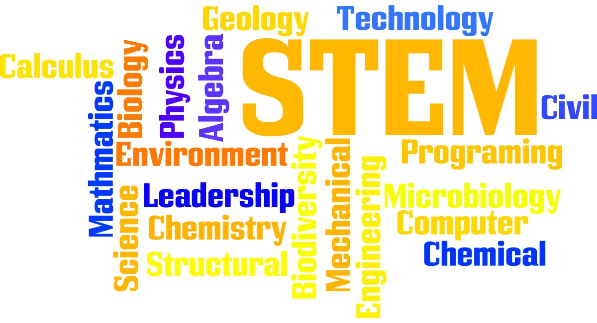 Stem Words