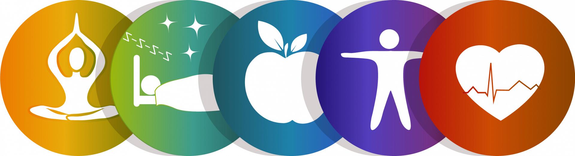 Health Education and Wellness Promotion header
