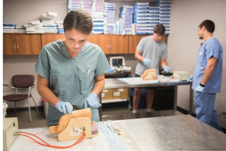 A student practicing phlebotomy skills on a fake arm