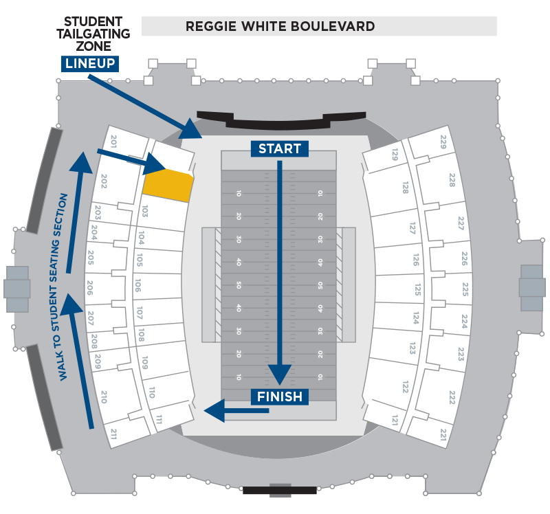 Mocs Flock Diagram