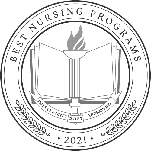 Best Nursing Badge from Intelligent.com