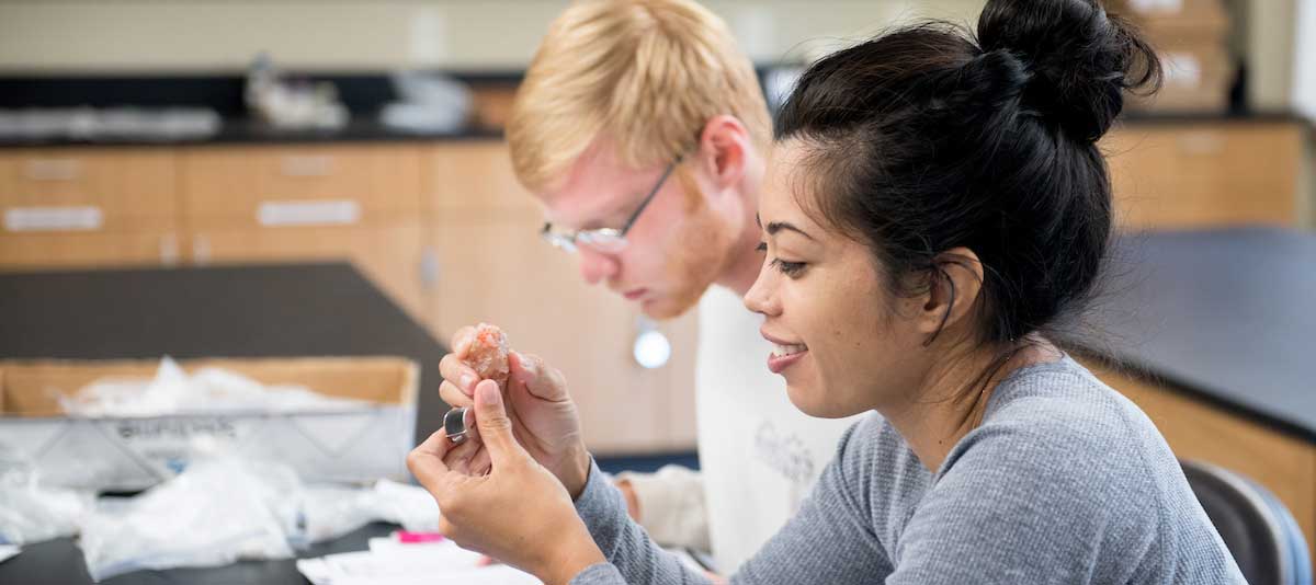 Male and female student studying in lab