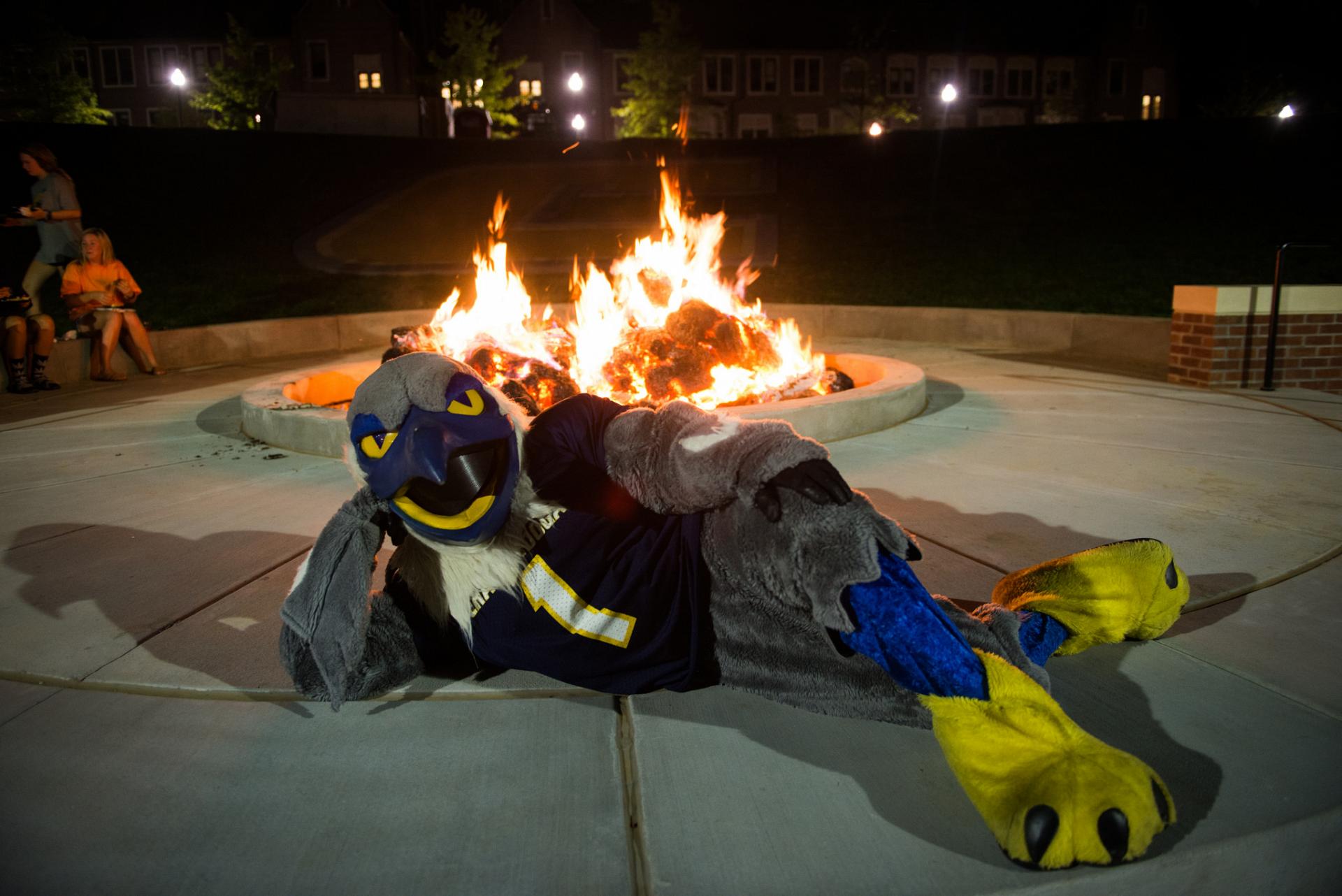 Scrappy at Bonfire