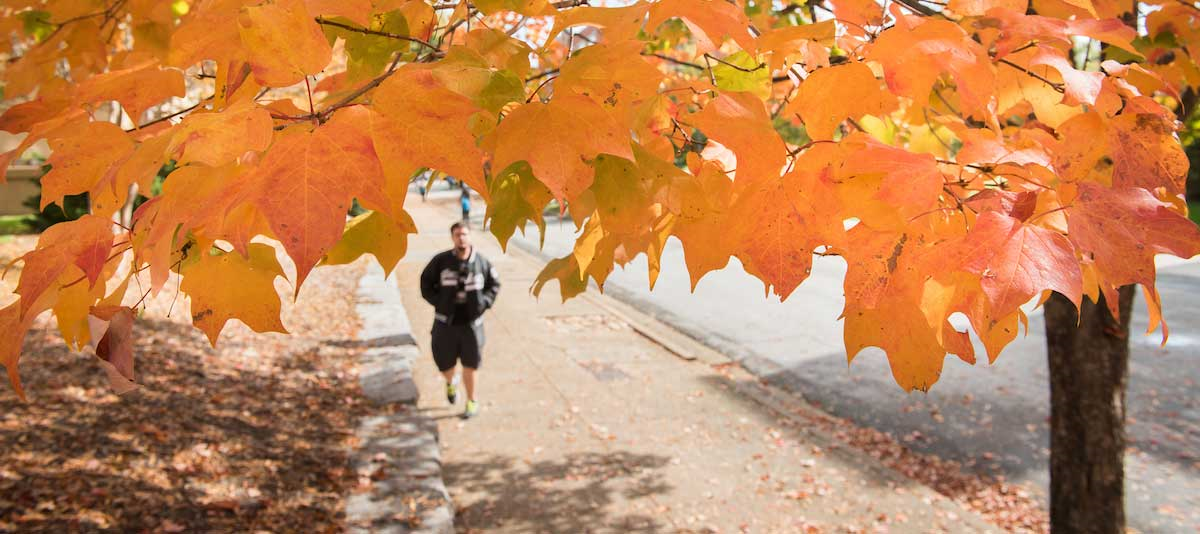Student walking on campus