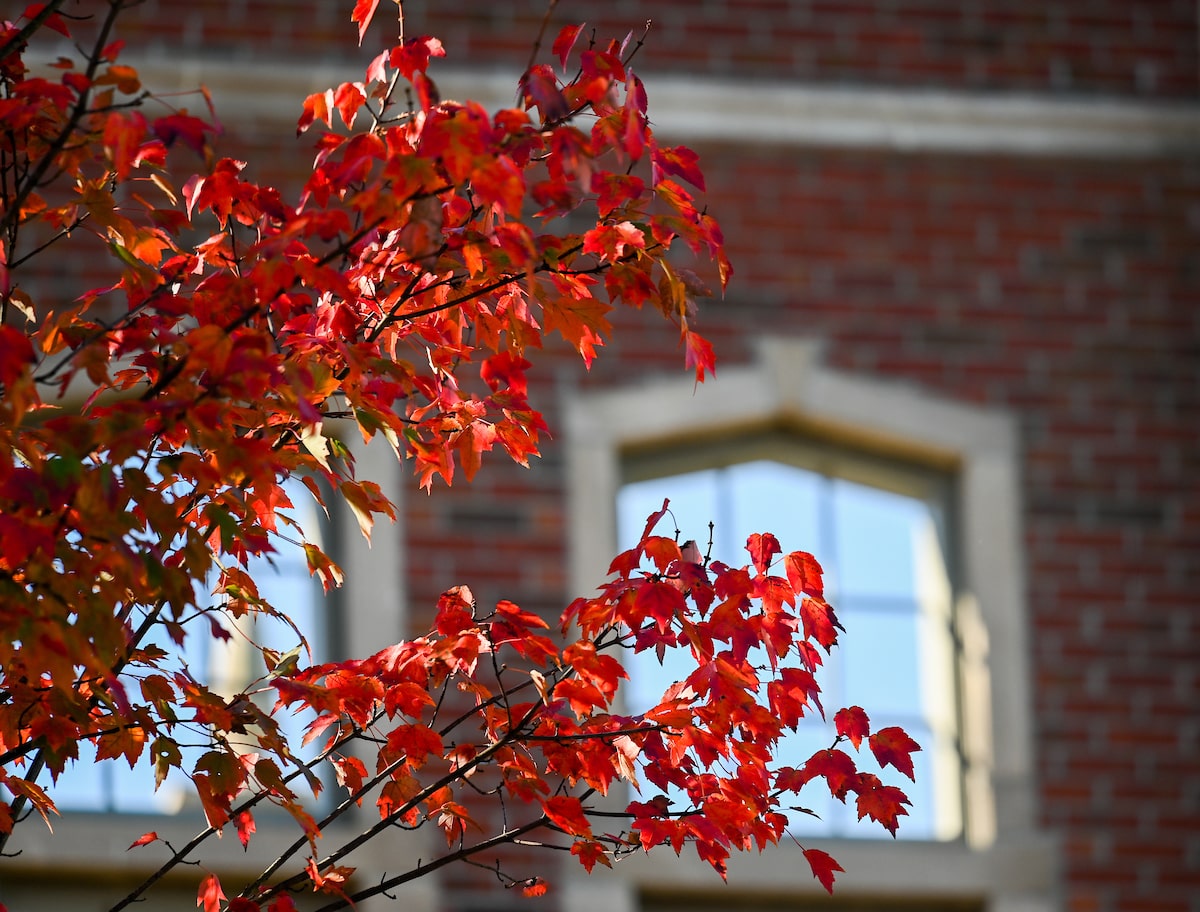 Campus Fall