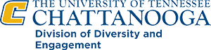 Division of Diversity logo