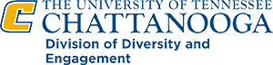 Division of Diversity logo