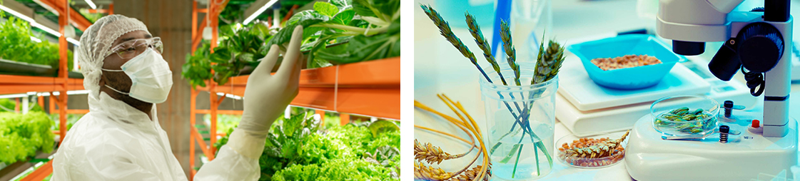 inest food research inest food research