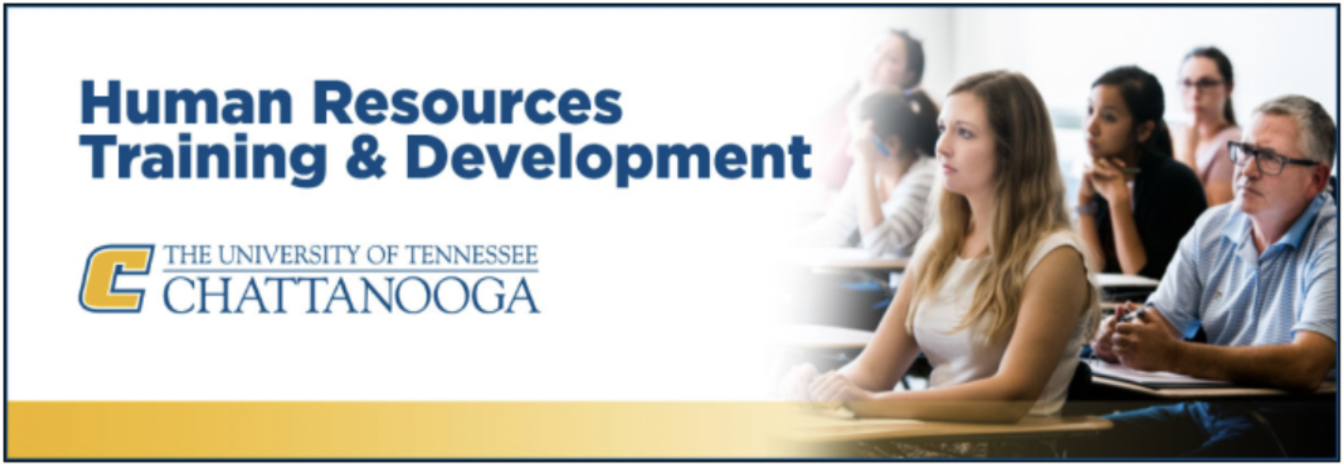 Professional Development Banner