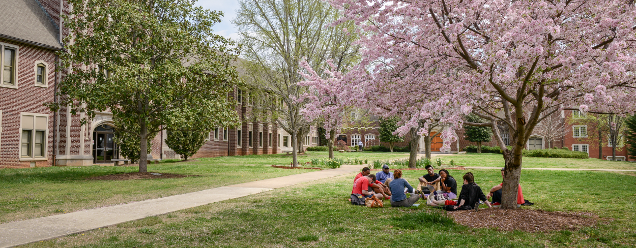 Students attending class outside