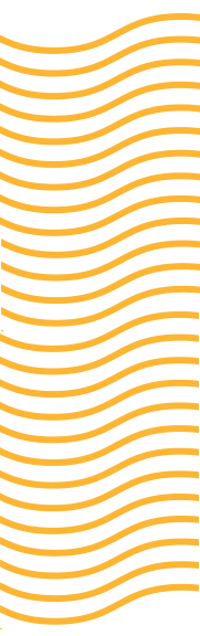 wavy gold stripes right wavy gold stripes right