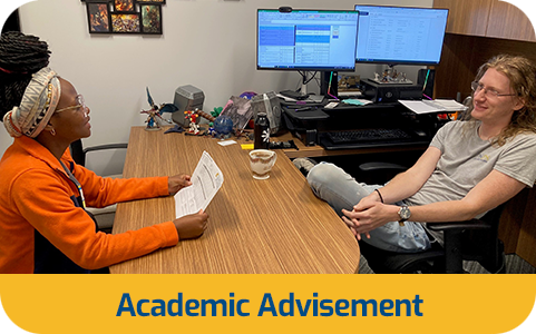 academic advisement