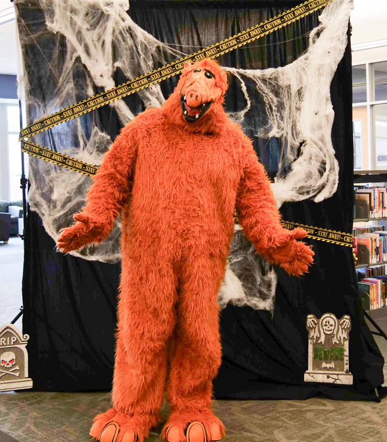 Alf - Second Place Winner