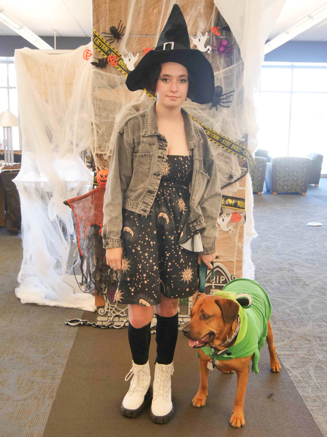 Witch and her service frog