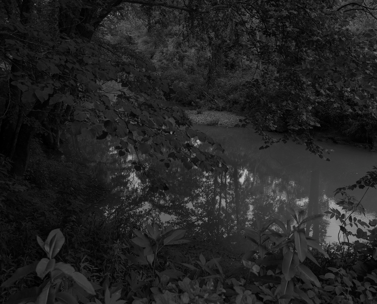 Disappointment Creek Disappointment Creek