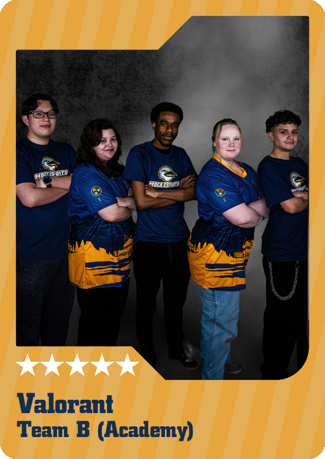 Valorant B Esports Team