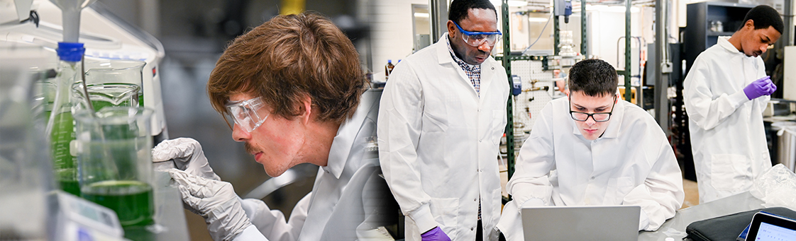 Chemical Engineering Undergraduate Program