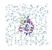 Computer simulations of proteins and colloids Computer simulations of proteins and colloids