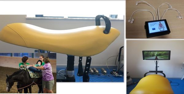 Mechatronics Example: Saddle