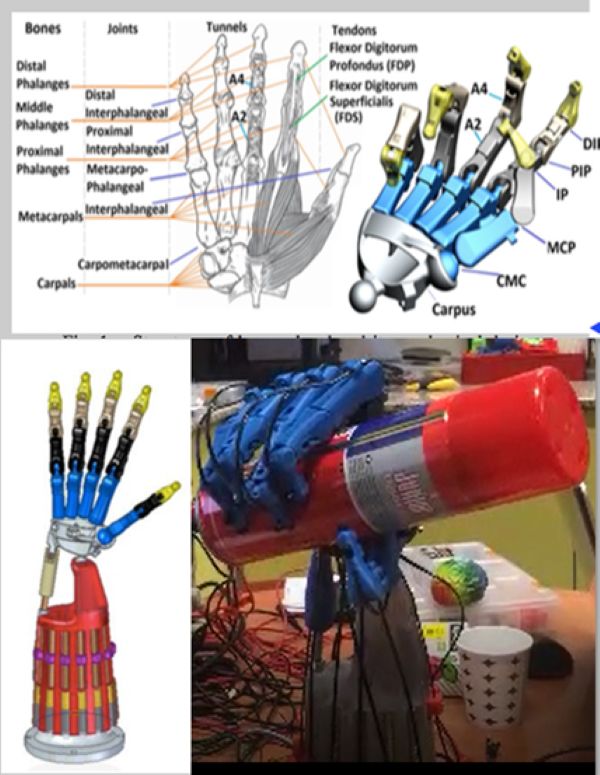 Mechatronics Example: Hand Prosthetic in action