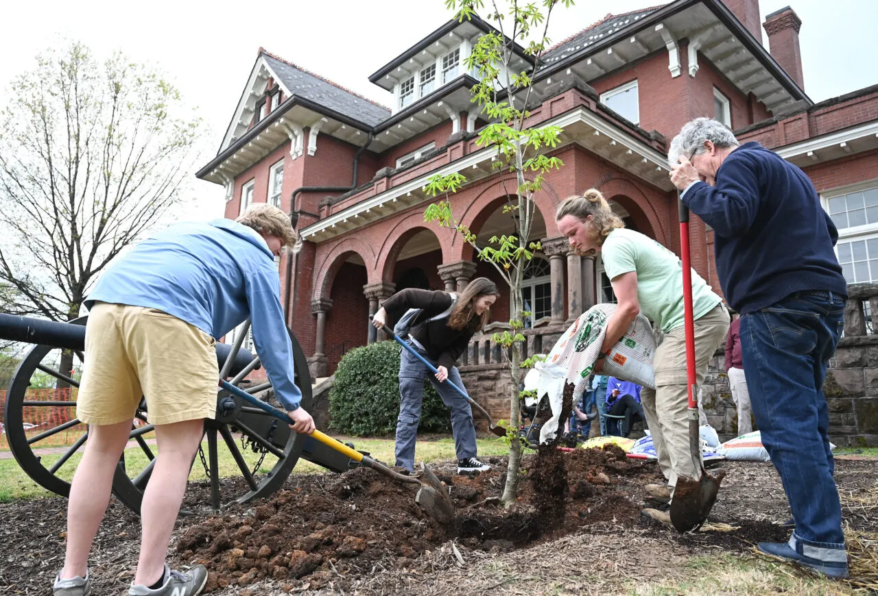 Group of people digging