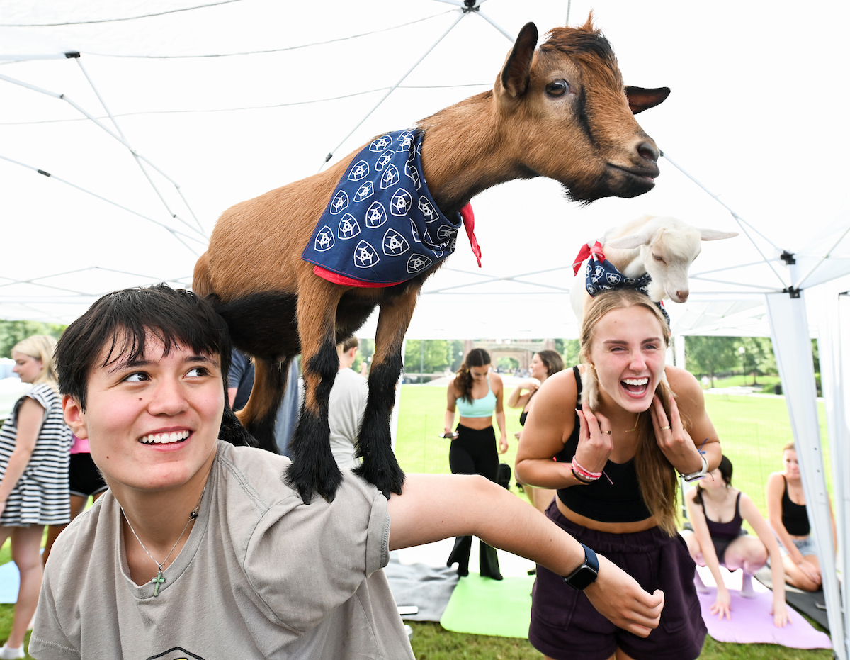 Two students smile as goats wearing UTC bandanas stand on their shoulders during a goat yoga event on campus.