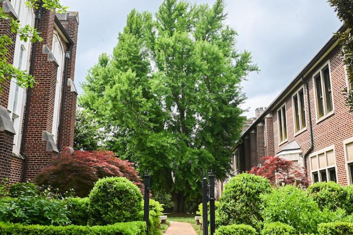 Campus Scenes 2019