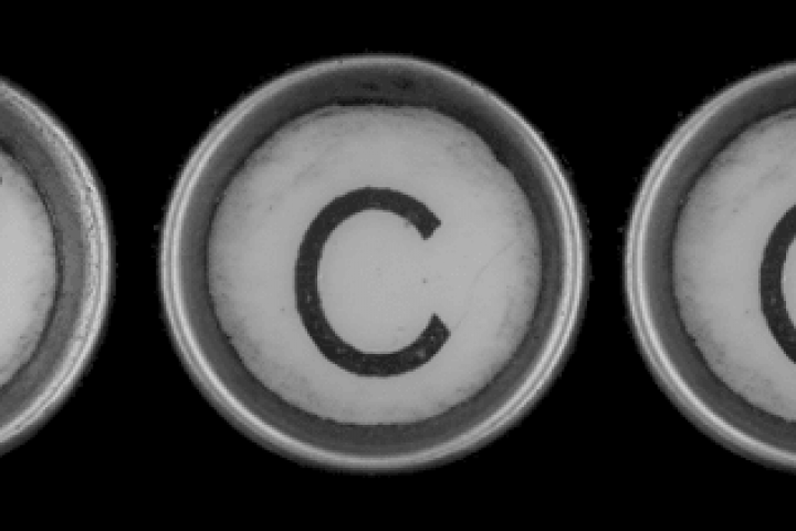 typewriter key letter by Leo Reynolds