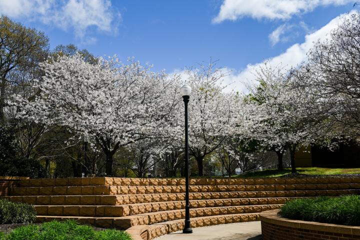 University Center's Outdoor Classroom